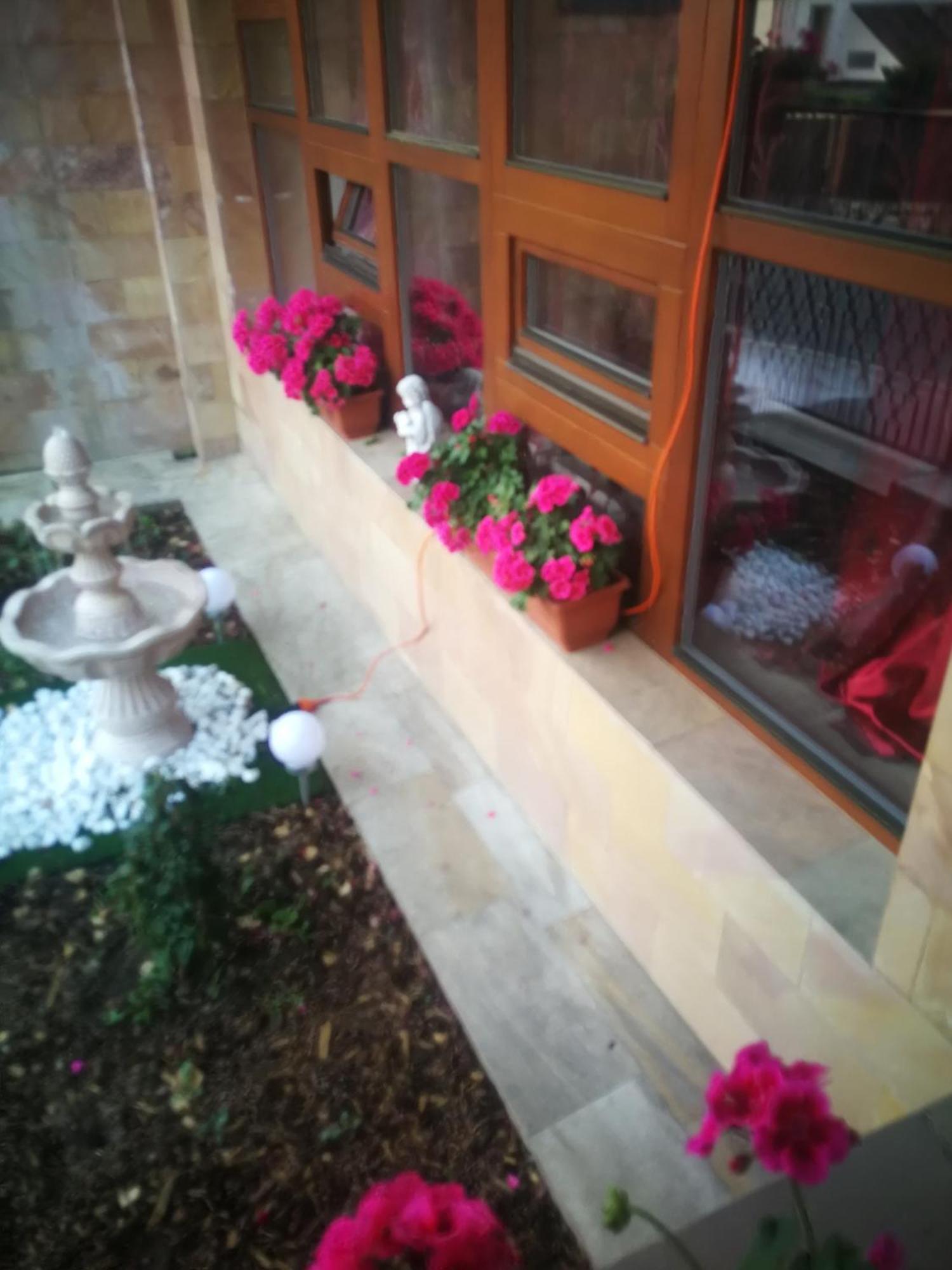 Villa Barrandov Pokoj 3 Прага Екстериор снимка